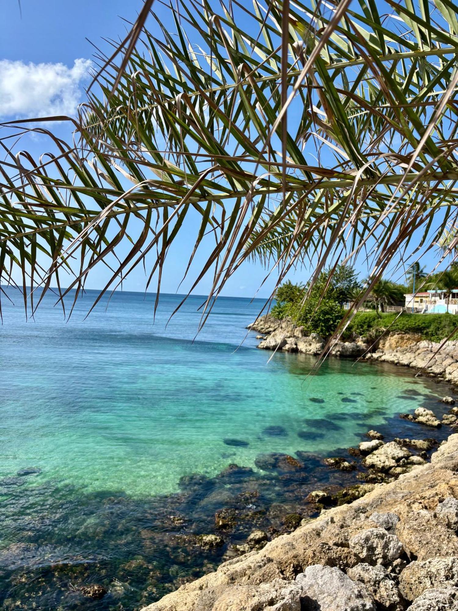 Gite Tournesol - A 2 Min De La Plage Et Du Bourg Anse-Bertrand Εξωτερικό φωτογραφία
